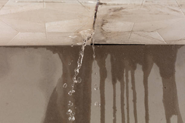 Professional Structural Drying technician working in Trezevant, TN